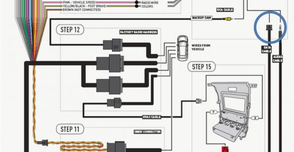 Maestro Rr Wiring Diagram Wiring Avh Color Pioneer Diagram P5900dvd Wiring Diagrams Value