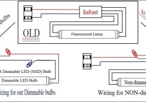 Magnetic Ballast Wiring Diagram Pdf Electronic Ballast Wiring Diagram Wiring Diagram Paper