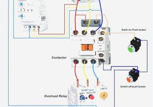 Magnetic Contactor Wiring Diagram Pdf 3 Phase Motor Starter Wiring Diagram Pdf Wiring Diagram Technic