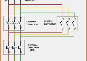 Magnetic Contactor Wiring Diagram Pdf Contactor Relay Wiring Wiring Diagram Autovehicle