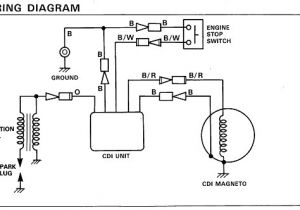 Magneto Ignition Wiring Diagram Elegant How to Wire An Ignition Coil Diagram Cloudmining Promo Net