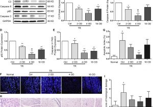 Manufactured Home Wiring Diagrams 20 Beautiful 5 Bedroom Manufactured Home Floor Plans Manufactured Home Wiring Diagrams 20 Beautiful 5 Bedroom Manufactured Home Floor Plans