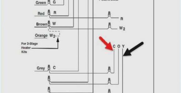 Marathon Electric Motor Wiring Diagram Marathon Motors Wiring Diagram Surprising Marathon Electric Motor