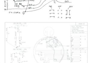 Marathon Generator Wiring Diagram Marathon Generator Wiring Diagram Another Blog About Wiring Diagram Marathon Generator Wiring Diagram Marathon Generator Wiring Diagram Another Blog About Wiring Diagram