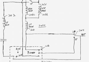 Marathon Generator Wiring Diagram Marathon Generators Wire Diagram Wiring Diagram Preview Marathon Generator Wiring Diagram Marathon Generators Wire Diagram Wiring Diagram Preview