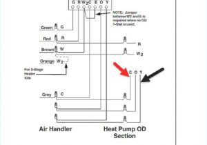 Marathon Pool Pump Motor Wiring Diagram Baldor Motor Heater Wiring Diagram Wiring Diagram