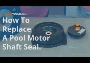 Marathon Pool Pump Motor Wiring Diagram How to Replace A Pool Motor Shaft Seal Inyopools Com
