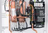 Marey Eco 110 Wiring Diagram Electric Water Heater Shoptinyhouses Com