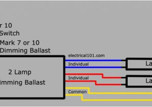 Mark 7 Ballast Wiring Diagram Advance Fluorescent 3 Lamp Dimmable Ballast Wiring Diagram Wiring