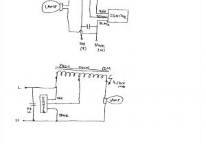 Mark 7 Ballast Wiring Diagram Advance T8 Ballast Wiring Diagram Wiring Diagram New