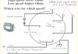 Mars Direct Drive Blower Motor Wiring Diagram Mars Motor 10464 Wiring Diagram Hvac Wiring Diagram Centre