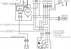 Master 127 Blaster Wiring Diagram Blaster Wiring Diagram Fundacaoaristidesdesousamendes Com