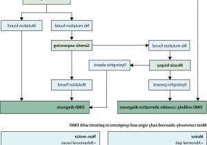 Mcdonnell Miller Low Water Cutoff Wiring Diagram How to Get Itt Mcdonnell Miller Low Water Cut Off Water and Mcdonnell Miller Low Water Cutoff Wiring Diagram How to Get Itt Mcdonnell Miller Low Water Cut Off Water and