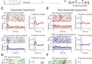 Mcdonnell Miller No 7b Wiring Diagram Mcdonnell Miller 7b Wiring Diagram Wiring Diagram Schemas