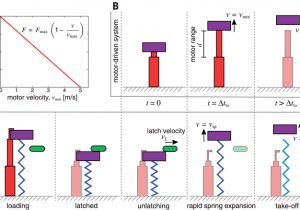 Mcdonnell Miller No 7b Wiring Diagram Mcdonnell Miller No 7b Wiring Diagram Wiring Diagram Schemas