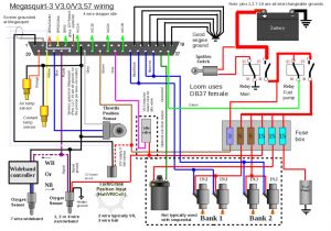 Megasquirt Ms3x Wiring Diagram Gold Box Wiring ford Wiring Diagram Page Megasquirt Ms3x Wiring Diagram Gold Box Wiring ford Wiring Diagram Page