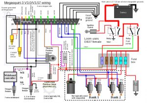 Megasquirt Ms3x Wiring Diagram Gold Box Wiring ford Wiring Diagram Page