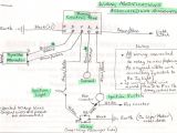 Mercruiser Alternator Wiring Diagram Wrg 0325 Mercruiser 470 Alternator Conversion Wiring Diagram