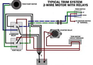 Mercruiser Trim Motor Wiring Diagram Mercury Outboard Trim Wiring Harness Diagram Wiring Diagram Mercruiser Trim Motor Wiring Diagram Mercury Outboard Trim Wiring Harness Diagram Wiring Diagram