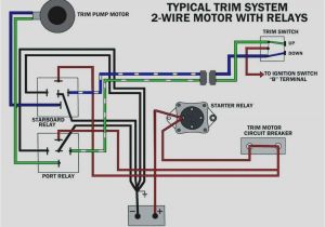 Mercruiser Trim Pump Wiring Diagram Mercruiser Trim Diagram 1 Wiring Diagram source Mercruiser Trim Pump Wiring Diagram Mercruiser Trim Diagram 1 Wiring Diagram source