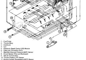 Mercruiser Wiring Diagram 5 0 Efi Wiring Harness Wiring Diagram Files
