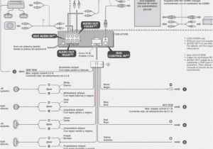 Mex Bt2900 Wiring Diagram sony Cdx Gt200 Wiring Harness Brandforesight Co