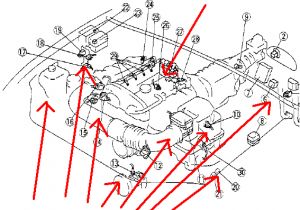 Miata Wiring Harness Diagram 94 Miata Engine Diagram Wiring Diagrams Favorites Miata Wiring Harness Diagram 94 Miata Engine Diagram Wiring Diagrams Favorites