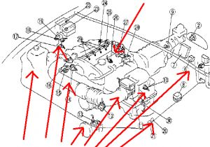Miata Wiring Harness Diagram 94 Miata Engine Diagram Wiring Diagrams Favorites