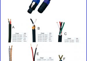 Microphone Cable Wiring Diagram Speakon to Xlr Cable Wiring Diagram Find Image
