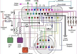 Microsquirt Wiring Diagram 4l80e Wiring