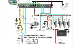 Microsquirt Wiring Diagram How to Megasquirt Your toyota 22re Diyautotune Com