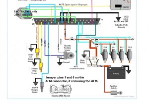 Microsquirt Wiring Diagram How to Megasquirt Your toyota 22re Diyautotune Com