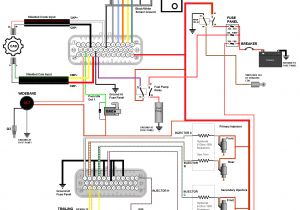 Microsquirt Wiring Diagram Renault Trafic Wiring Loom Diagram Wiring Diagram