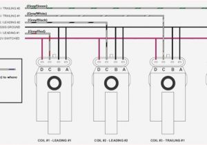 Microtech Lt8s Wiring Diagram Microtech Lt8 Wiring Diagram Unique Microtech Lt8 Wiring Diagram