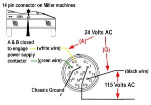 Miller 14 Pin Connector Wiring Diagram Bobcat 7 Pin Diagram Wiring Diagram Page