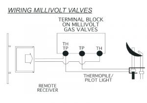 Millivolt thermostat Wiring Diagram Millivolt thermostat for Gas Fireplace Motorradvergaser Info Millivolt thermostat Wiring Diagram Millivolt thermostat for Gas Fireplace Motorradvergaser Info