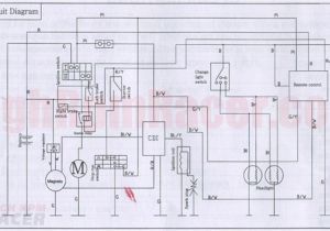 Mini Bike Wiring Diagram Mini Motorcycles Diagram for Wiring Wiring Diagram Paper