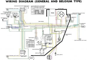 Mini Bike Wiring Diagram Simple Pocket Bike Wiring Diagram Wiring Diagram Centre