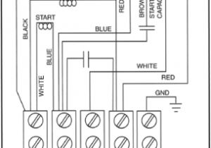 Mixer Motor Wiring Diagram Lafert north America Training Center
