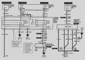 Mk2 Escort Wiring Loom Diagram Zx2 Wiring Diagram Book Diagram Schema