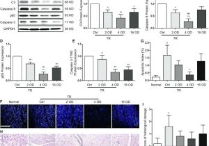 Modular Home Wiring Diagram Champion Mobile Home Floor Plans Masterandroid Co Modular Home Wiring Diagram Champion Mobile Home Floor Plans Masterandroid Co