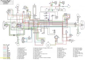 Molex Wiring Diagram Bmw F650gs Wiring Wiring Diagram Rows Molex Wiring Diagram Bmw F650gs Wiring Wiring Diagram Rows