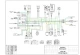 Moped Wiring Diagram Vip 50cc Scooter Wiring Diagram Wiring Diagram Show
