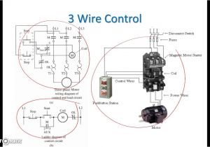 Motor Control Wiring Diagram Pdf 3 Wire Control Schematic Wiring Diagrams Konsult