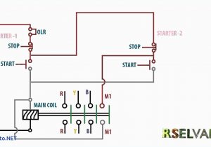 Motor Reversing Switch Wiring Diagram Wiring Diagram Reversing Motor Wiring Diagram and Schematic