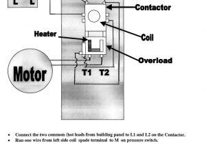 Motor Wiring Diagram Motor Wiring Diagram for Size 1 Wiring Diagram Centre