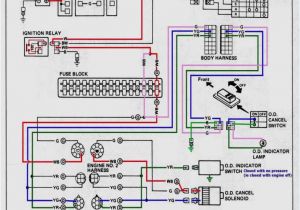 Motorcycle Electrical Wiring Diagram Wiring Yamaha Diagram Switch Ignition Ttr225r Wiring Diagram Expert