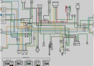 Motorcycle Hazard Lights Wiring Diagram 25 Good Wiring Diagram software Technique Bacamajalah Motorcycle Hazard Lights Wiring Diagram 25 Good Wiring Diagram software Technique Bacamajalah