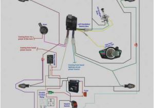 Motorcycle Hazard Lights Wiring Diagram Hazard and Turn Signal Wiring Diagram Cvfree Pacificsanitation Co Motorcycle Hazard Lights Wiring Diagram Hazard and Turn Signal Wiring Diagram Cvfree Pacificsanitation Co