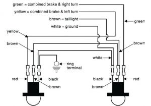 Motorcycle Tail Light Wiring Diagram 1972 Fiat Rear Tail Light Wiring Diagram Wiring Diagram Host